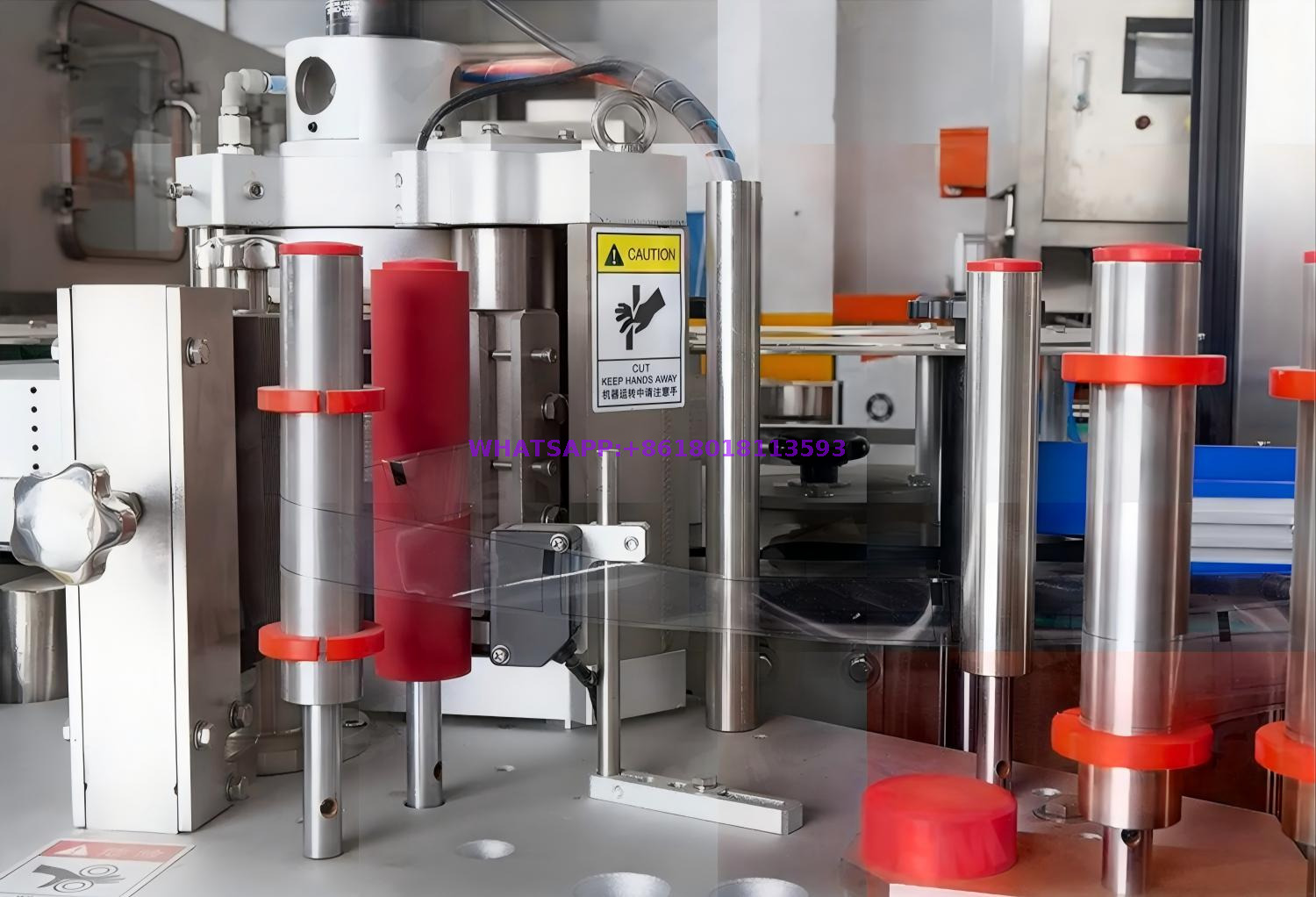 png100-t3-scale100 (1)