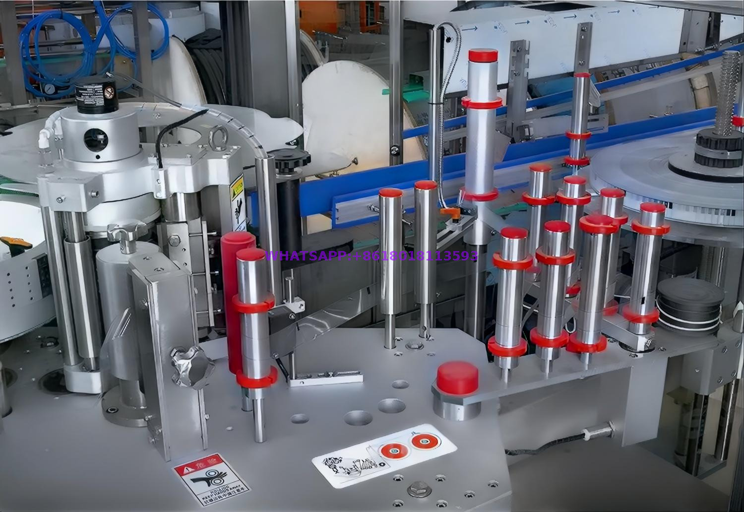 png100-t3-scale100 (2)