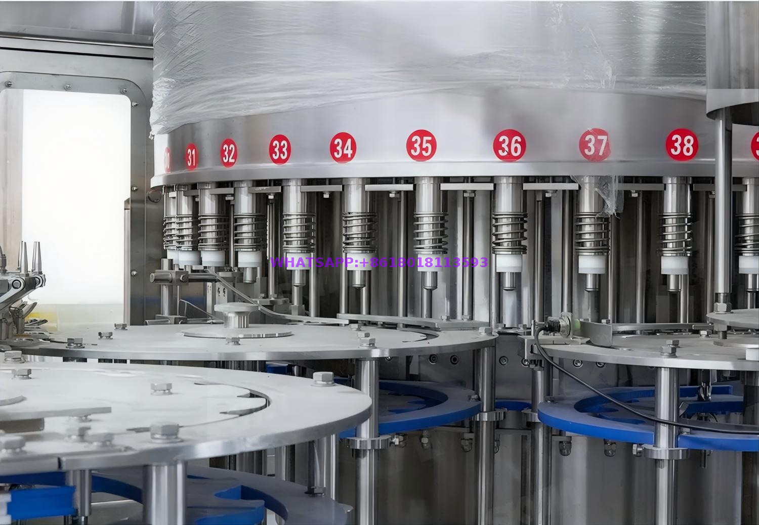 png100-t3-scale100 (2)