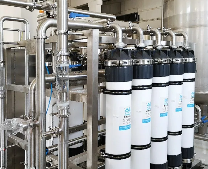 Pure Water Treatment Plant