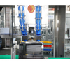 1 Gallon Bottle Water Filling Machine